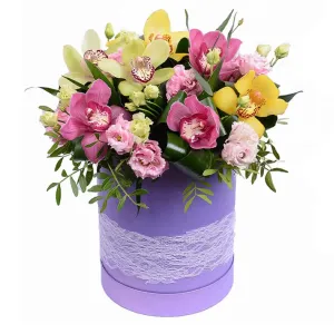 Нет тебя прекрасней